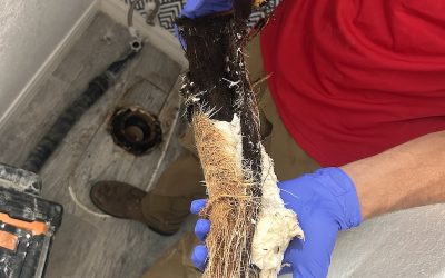 Clogged Drains? Here’s What Causes Them — and How to Stop Them for Good